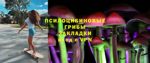 мдпв Верхний Тагил