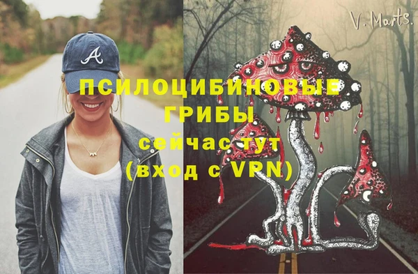 метамфетамин Верея