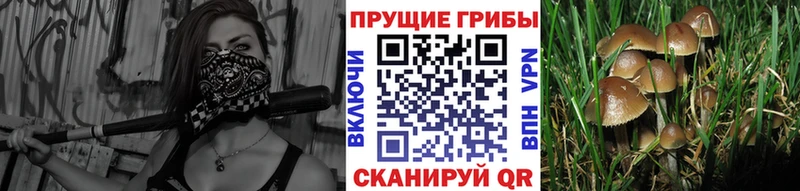 Галлюциногенные грибы MAGIC MUSHROOMS  Жуков 